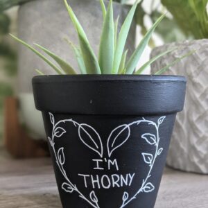 I'm Thorny Funny Plant Pot with Floral Heart