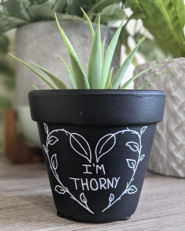 I'm Thorny Funny Plant Pot with Floral Heart