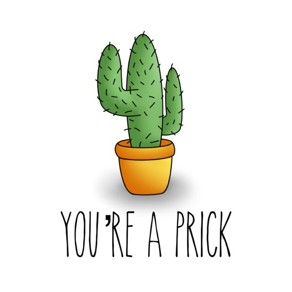 You're A Prick Cactus Card